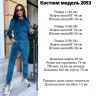 Костюм Розмір: 42-44, 46-48, 50-52 S13736