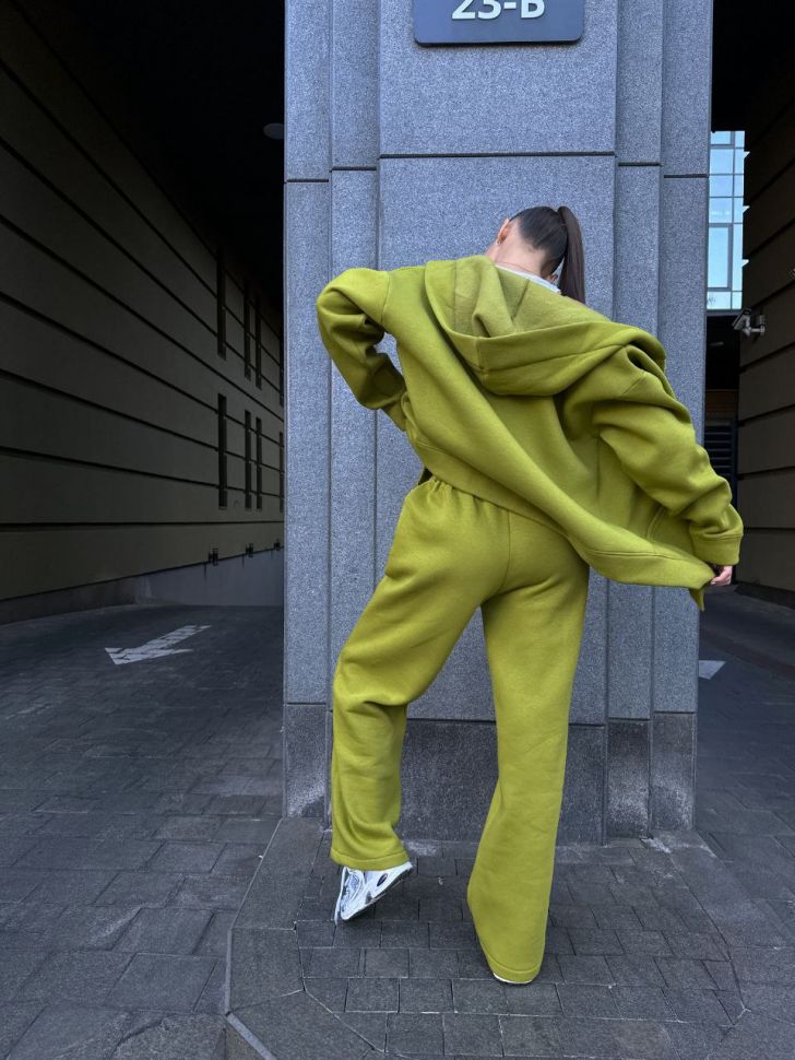 Прогулянковий костюм S1496